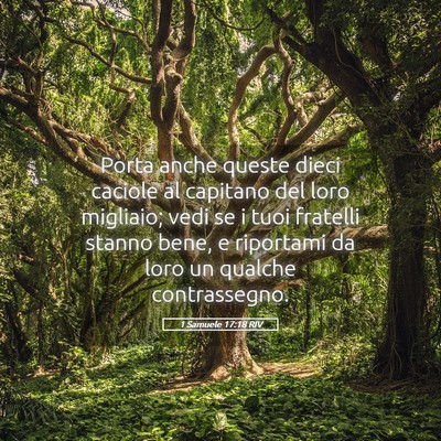 Picture 05 - 1 Samuele 17:18 RIV - Porta anche queste dieci caciole al capitano del - Bible Verse Picture