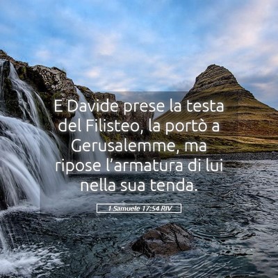 Picture 05 - 1 Samuele 17:54 RIV - E Davide prese la testa del Filisteo, la portò a - Bible Verse Picture