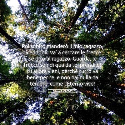 Picture 05 - 1 Samuele 20:21 RIV - Poi subito manderò il mio ragazzo, dicendogli: - Bible Verse Picture