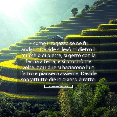 Picture 05 - 1 Samuele 20:41 RIV - E come il ragazzo se ne fu andato, Davide si - Bible Verse Picture