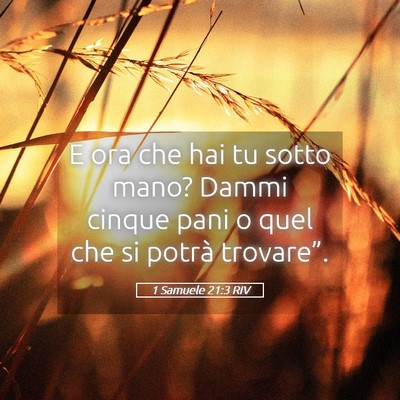 Picture 05 - 1 Samuele 21:3 RIV - E ora che hai tu sotto mano? Dammi cinque pani o - Bible Verse Picture