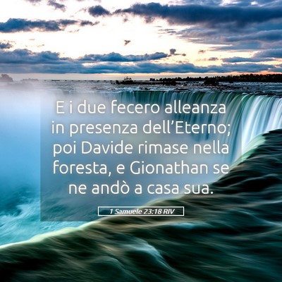 Picture 05 - 1 Samuele 23:18 RIV - E i due fecero alleanza in presenza - Bible Verse Picture