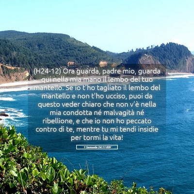 Picture 05 - 1 Samuele 24:11 RIV - (H24-12) Ora guarda, padre mio, guarda qui nella - Bible Verse Picture