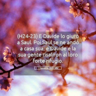 Picture 05 - 1 Samuele 24:22 RIV - (H24-23) E Davide lo giurò a Saul. Poi Saul se - Bible Verse Picture