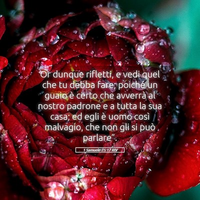 Picture 05 - 1 Samuele 25:17 RIV - Or dunque rifletti, e vedi quel che tu debba - Bible Verse Picture