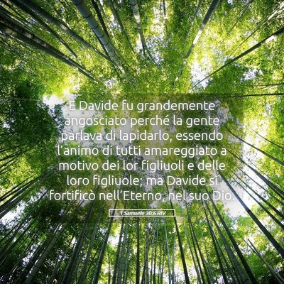 Picture 05 - 1 Samuele 30:6 RIV - E Davide fu grandemente angosciato perché la - Bible Verse Picture