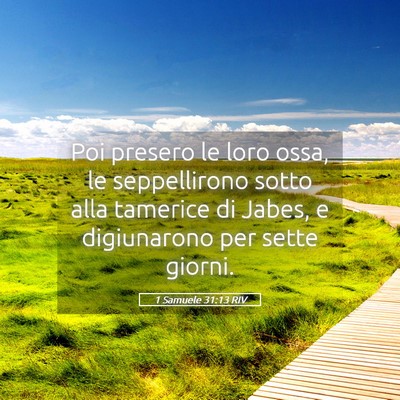 Picture 05 - 1 Samuele 31:13 RIV - Poi presero le loro ossa, le seppellirono sotto - Bible Verse Picture