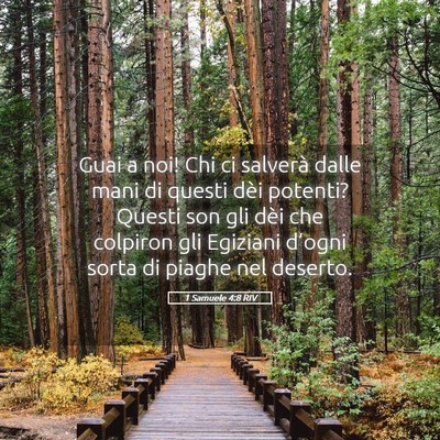 Picture 05 - 1 Samuele 4:8 RIV - Guai a noi! Chi ci salverà dalle mani di questi - Bible Verse Picture