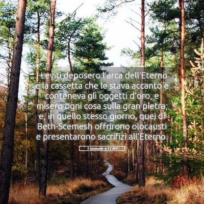 Picture 05 - 1 Samuele 6:15 RIV - I Leviti deposero l’arca dell’Eterno e la - Bible Verse Picture