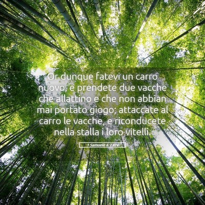 Picture 05 - 1 Samuele 6:7 RIV - Or dunque fatevi un carro nuovo, e prendete due - Bible Verse Picture