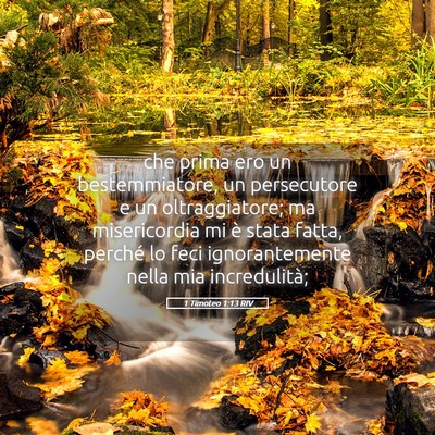 Picture 05 - 1 Timoteo 1:13 RIV - che prima ero un bestemmiatore, un persecutore e - Bible Verse Picture