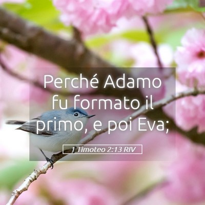 Picture 05 - 1 Timoteo 2:13 RIV - Perché Adamo fu formato il primo, e poi - Bible Verse Picture