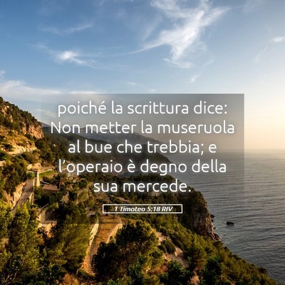 Picture 05 - 1 Timoteo 5:18 RIV - poiché la scrittura dice: Non metter la - Bible Verse Picture