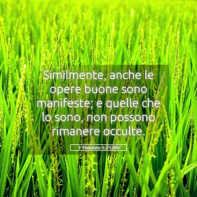 Picture 05 - 1 Timoteo 5:25 RIV - Similmente, anche le opere buone sono manifeste; - Bible Verse Picture