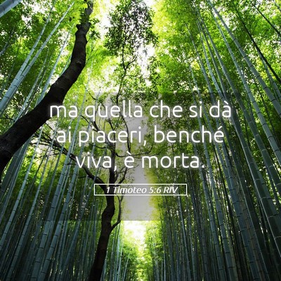 Picture 05 - 1 Timoteo 5:6 RIV - ma quella che si dà ai piaceri, benché viva, è - Bible Verse Picture