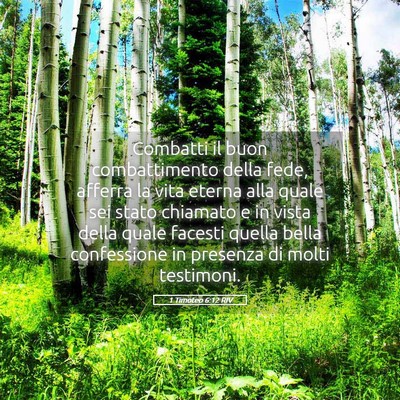 Picture 05 - 1 Timoteo 6:12 RIV - Combatti il buon combattimento della fede, - Bible Verse Picture