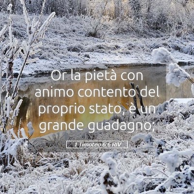 Picture 05 - 1 Timoteo 6:6 RIV - Or la pietà con animo contento del proprio - Bible Verse Picture