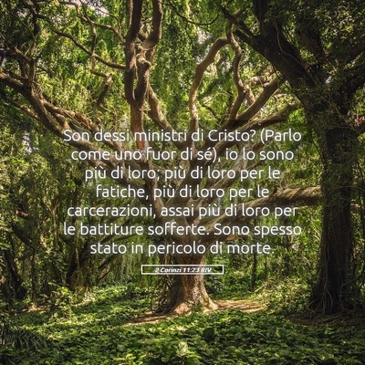 Picture 05 - 2 Corinzi 11:23 RIV - Son dessi ministri di Cristo? (Parlo come uno - Bible Verse Picture