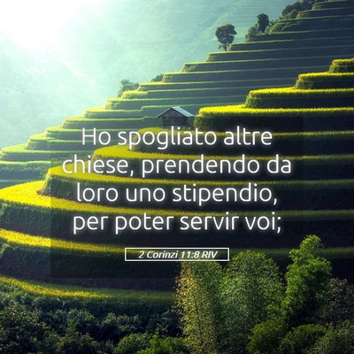 Picture 05 - 2 Corinzi 11:8 RIV - Ho spogliato altre chiese, prendendo da loro uno - Bible Verse Picture