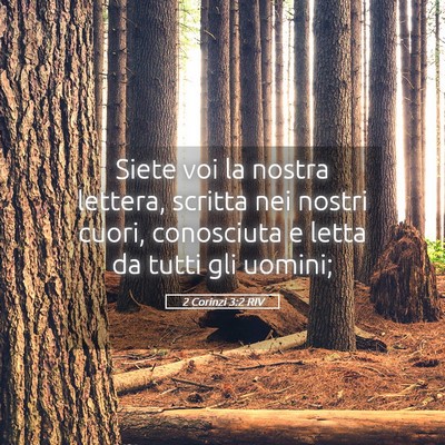 Picture 05 - 2 Corinzi 3:2 RIV - Siete voi la nostra lettera, scritta nei nostri - Bible Verse Picture