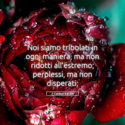 Picture 05 - 2 Corinzi 4:8 RIV - Noi siamo tribolati in ogni maniera, ma non - Bible Verse Picture