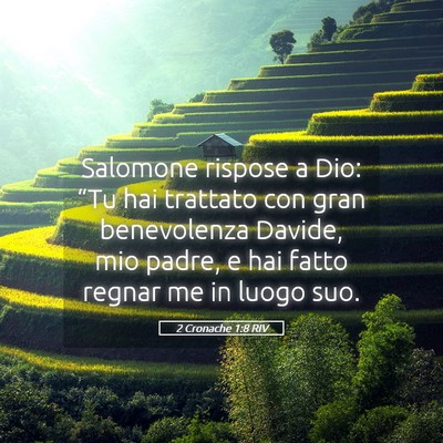 Picture 05 - 2 Cronache 1:8 RIV - Salomone rispose a Dio: “Tu hai trattato con - Bible Verse Picture