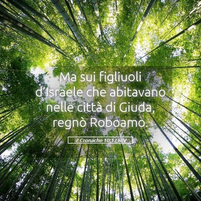 Picture 05 - 2 Cronache 10:17 RIV - Ma sui figliuoli d’Israele che abitavano nelle - Bible Verse Picture