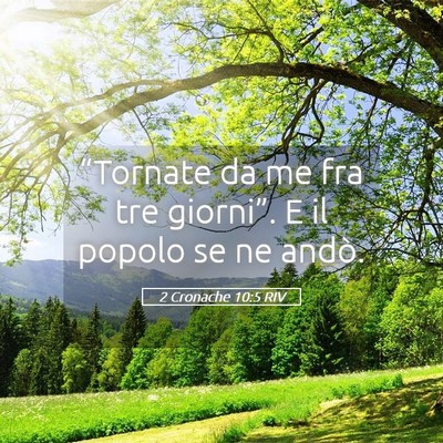 Picture 05 - 2 Cronache 10:5 RIV - “Tornate da me fra tre giorni”. E il popolo - Bible Verse Picture