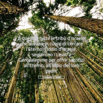 Picture 05 - 2 Cronache 11:16 RIV - E quelli di tutte le tribù d’Israele che - Bible Verse Picture