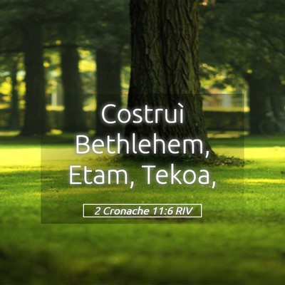 Picture 05 - 2 Cronache 11:6 RIV - Costruì Bethlehem, Etam, - Bible Verse Picture