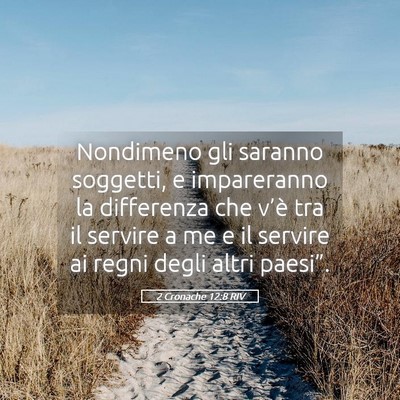 Picture 05 - 2 Cronache 12:8 RIV - Nondimeno gli saranno soggetti, e impareranno la - Bible Verse Picture