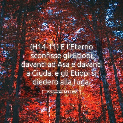 Picture 05 - 2 Cronache 14:12 RIV - (H14-11) E l’Eterno sconfisse gli Etiopi - Bible Verse Picture