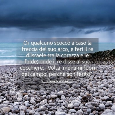 Picture 05 - 2 Cronache 18:33 RIV - Or qualcuno scoccò a caso la freccia del suo - Bible Verse Picture