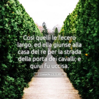 Picture 05 - 2 Cronache 23:15 RIV - Così quelli le fecero largo, ed ella giunse alla - Bible Verse Picture