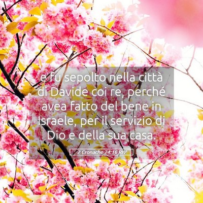 Picture 05 - 2 Cronache 24:16 RIV - e fu sepolto nella città di Davide coi re, - Bible Verse Picture