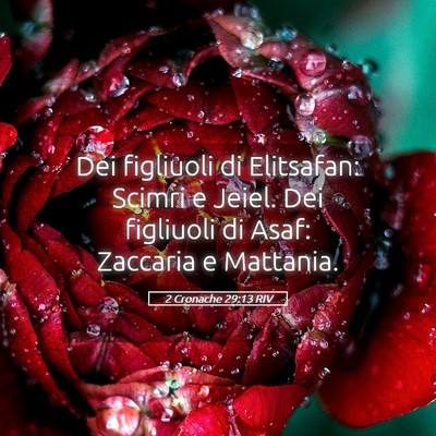 Picture 05 - 2 Cronache 29:13 RIV - Dei figliuoli di Elitsafan: Scimri e Jeiel. Dei - Bible Verse Picture