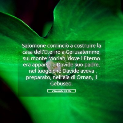 Picture 05 - 2 Cronache 3:1 RIV - Salomone cominciò a costruire la casa - Bible Verse Picture