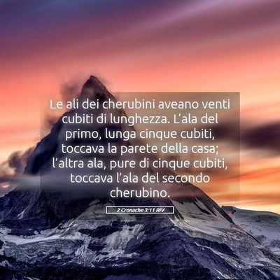 Picture 05 - 2 Cronache 3:11 RIV - Le ali dei cherubini aveano venti cubiti di - Bible Verse Picture