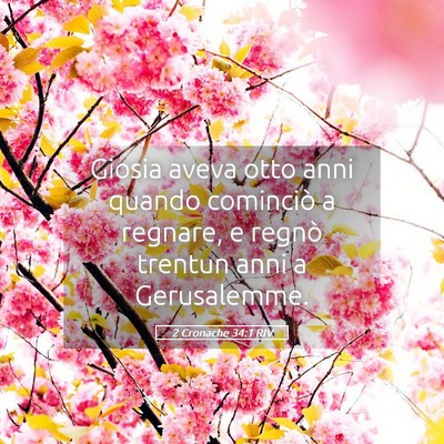 Picture 05 - 2 Cronache 34:1 RIV - Giosia aveva otto anni quando cominciò a - Bible Verse Picture