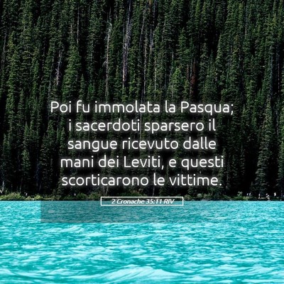 Picture 05 - 2 Cronache 35:11 RIV - Poi fu immolata la Pasqua; i sacerdoti sparsero - Bible Verse Picture