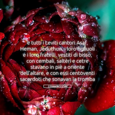 Picture 05 - 2 Cronache 5:12 RIV - e tutti i Leviti cantori Asaf, Heman, Jeduthun, i - Bible Verse Picture