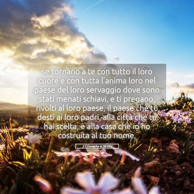 Picture 05 - 2 Cronache 6:38 RIV - se tornano a te con tutto il loro cuore e con - Bible Verse Picture