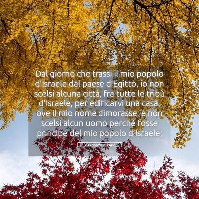Picture 05 - 2 Cronache 6:5 RIV - Dal giorno che trassi il mio popolo d’Israele - Bible Verse Picture