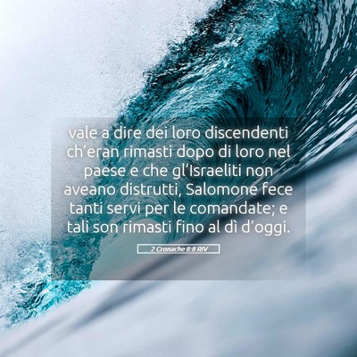Picture 05 - 2 Cronache 8:8 RIV - vale a dire dei loro discendenti ch’eran - Bible Verse Picture