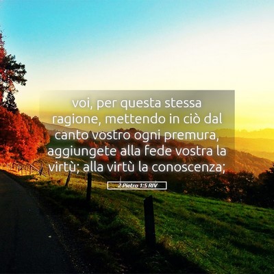 Picture 05 - 2 Pietro 1:5 RIV - voi, per questa stessa ragione, mettendo in ciò - Bible Verse Picture