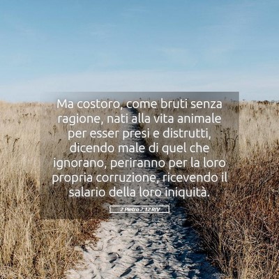Picture 05 - 2 Pietro 2:12 RIV - Ma costoro, come bruti senza ragione, nati alla - Bible Verse Picture