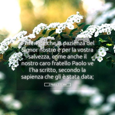 Picture 05 - 2 Pietro 3:15 RIV - e ritenete che la pazienza del Signor nostro è - Bible Verse Picture