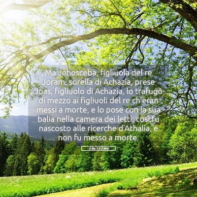 Picture 05 - 2 Re 11:2 RIV - Ma Jehosceba, figliuola del re Joram, sorella di - Bible Verse Picture