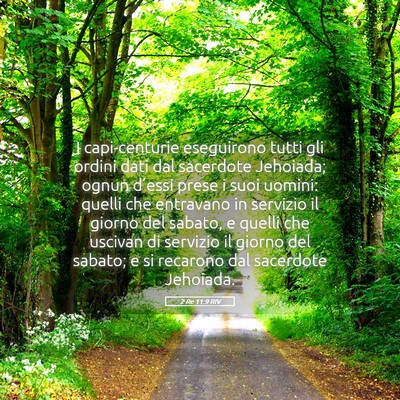 Picture 05 - 2 Re 11:9 RIV - I capi-centurie eseguirono tutti gli ordini dati - Bible Verse Picture