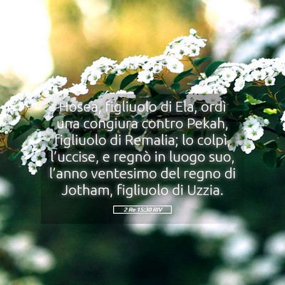 Picture 05 - 2 Re 15:30 RIV - Hosea, figliuolo di Ela, ordì una congiura - Bible Verse Picture